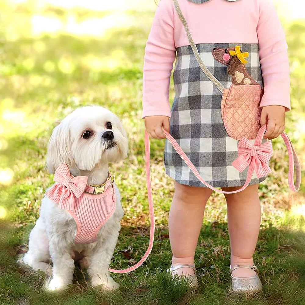 6 Color Dog Collar Harness and Leash 3pcs/Set Cute Bowknot Dogs Buckle Collars Pet Vest Harness Lead Leash Small Medium Dogs
