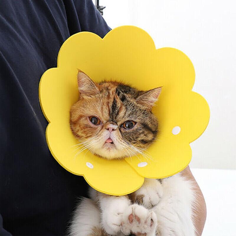 Pet Dog Cat Adjustable Soft Healing Elizabethan Collar Cone Medical Protective