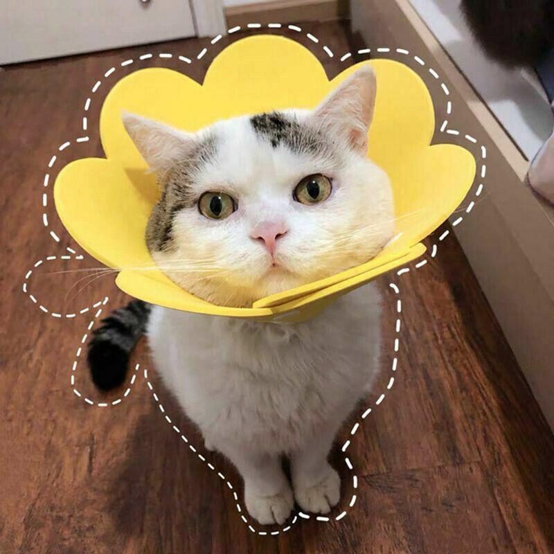 Pet Dog Cat Adjustable Soft Healing Elizabethan Collar Cone Medical Protective